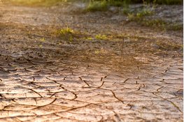 Waterschappen treffen extra maatregelen vanwege aanhoudende droogte