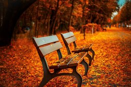 November start met rustig herfstweer, nachten worden frisser