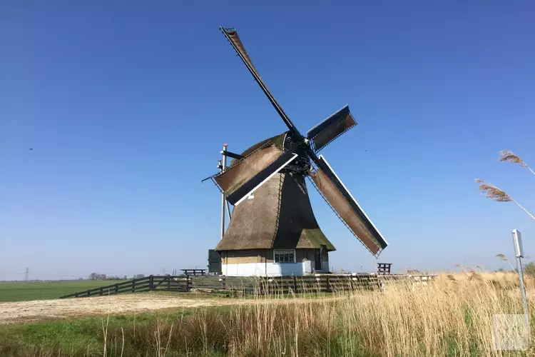 Frank Terpstra vertelt over de Friese veenpolders en neemt u mee naar de Grevensmolen