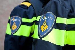 Veel schade door inbraak Lemsterpark