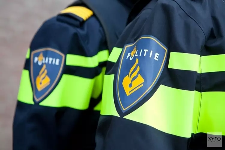 Veel schade door inbraak Lemsterpark