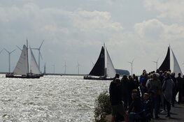 Finale wedstrijd IFKS Skûtsje zeilen bij de Lemmer druk bezocht