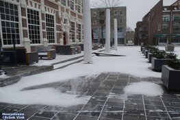 Winterse zondag in beeld