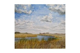 "Lemster Licht"; een expositie van landschappen door Henk de Haan vanaf 4 sept. in Bibliotheek Lemmer