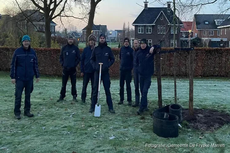 Onderzoek naar essentaksterfte heeft de nieuw begraafplaats in Lemmer een nieuwe boom opgeleverd