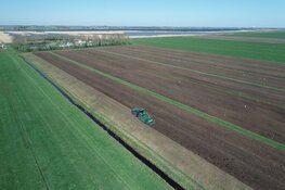 Landbouw percelen Lemmer ingezaaid met vezelhennep