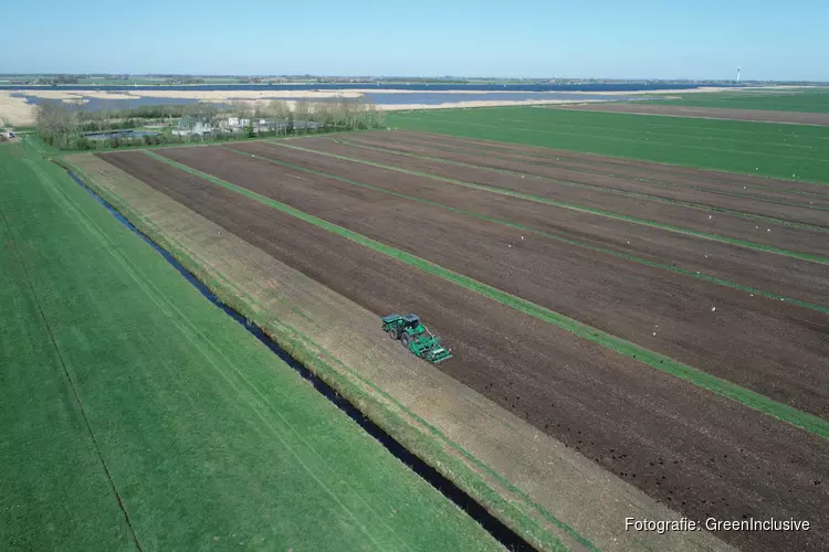 Landbouw percelen Lemmer ingezaaid met vezelhennep
