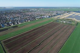 Landbouw percelen Lemmer ingezaaid met vezelhennep