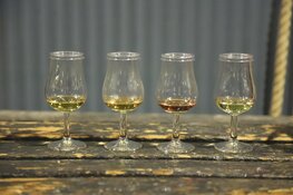 Whisky nosing & tasting in het Woudagemaal Lemmer tijdens de Dag van het Zwarte Koor