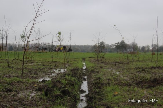 Landschapsbeheer Friesland en FMF zetten in op 92.000 bomen met Beammen foar Elkenien
