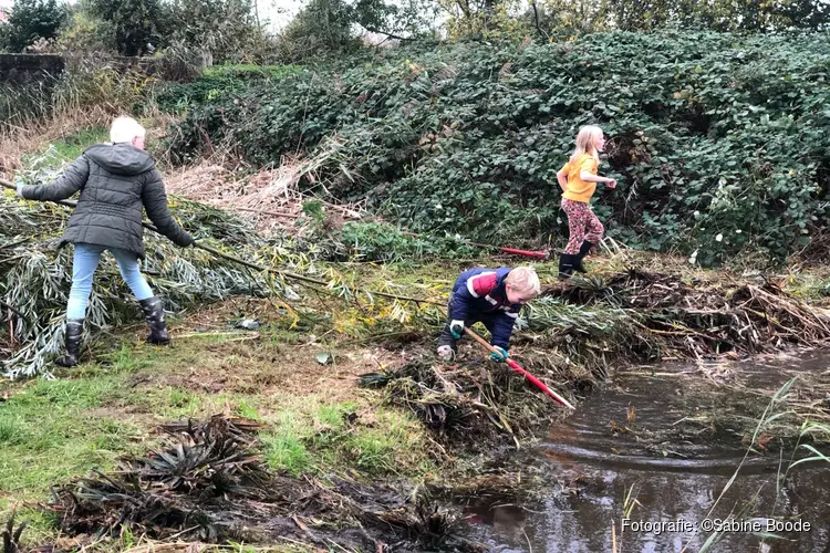 Natuurwerkdag in de Vlindertuin