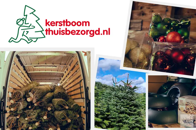 Op Zoek Naar Een Prachtige Kerstboom? Kerstboom Thuisbezorgd Heeft de Beste Nordmann Bomen