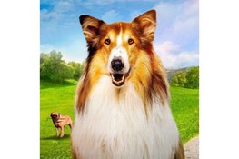 Met het hele gezin naar de film in de kerstvakantie Lassie, een nieuw avontuur