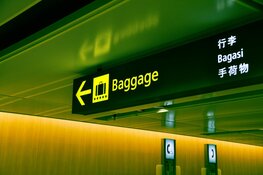 Bagagechaos: Nederlanders worstelen massaal met richtlijnen