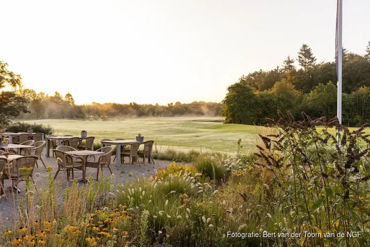 BROED4Business: Inspiratiebijeenkomst voor ondernemers die willen ondernemen mét de kracht van natuur