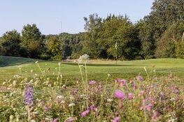 BROED4Business: Inspiratiebijeenkomst voor ondernemers die willen ondernemen mét de kracht van natuur