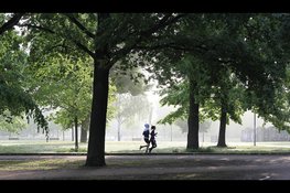 Friezen derde van Nederland, toch voldoet minder dan helft aan beweegrichtlijn