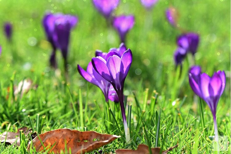 Zachter weer met zonnige perioden, maar temperatuurverschillen blijven